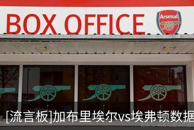 [流言板]加布里埃尔vs埃弗顿数据：2射2正1进球，2抢断7解围2拦截